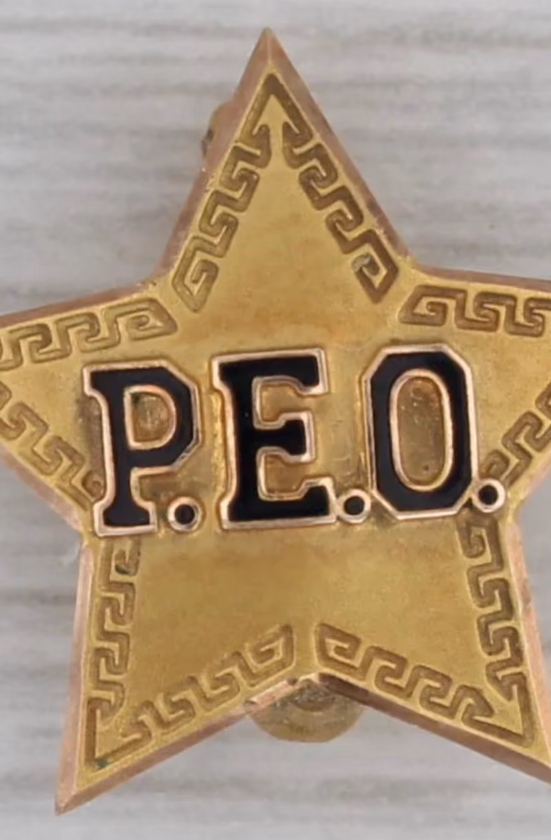 Elva Ferguson on Education and P.E.0.